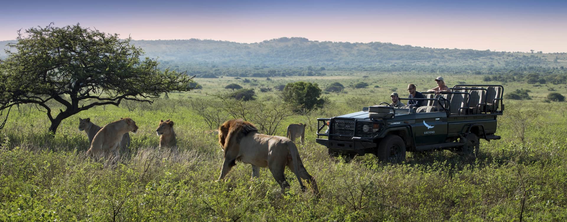 Zuid-Afrika reizen