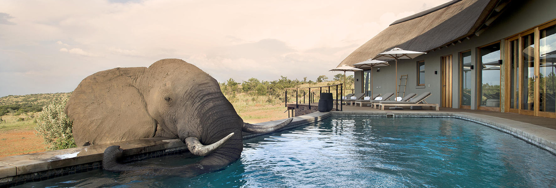 Mhondoro Safari Lodge & villa