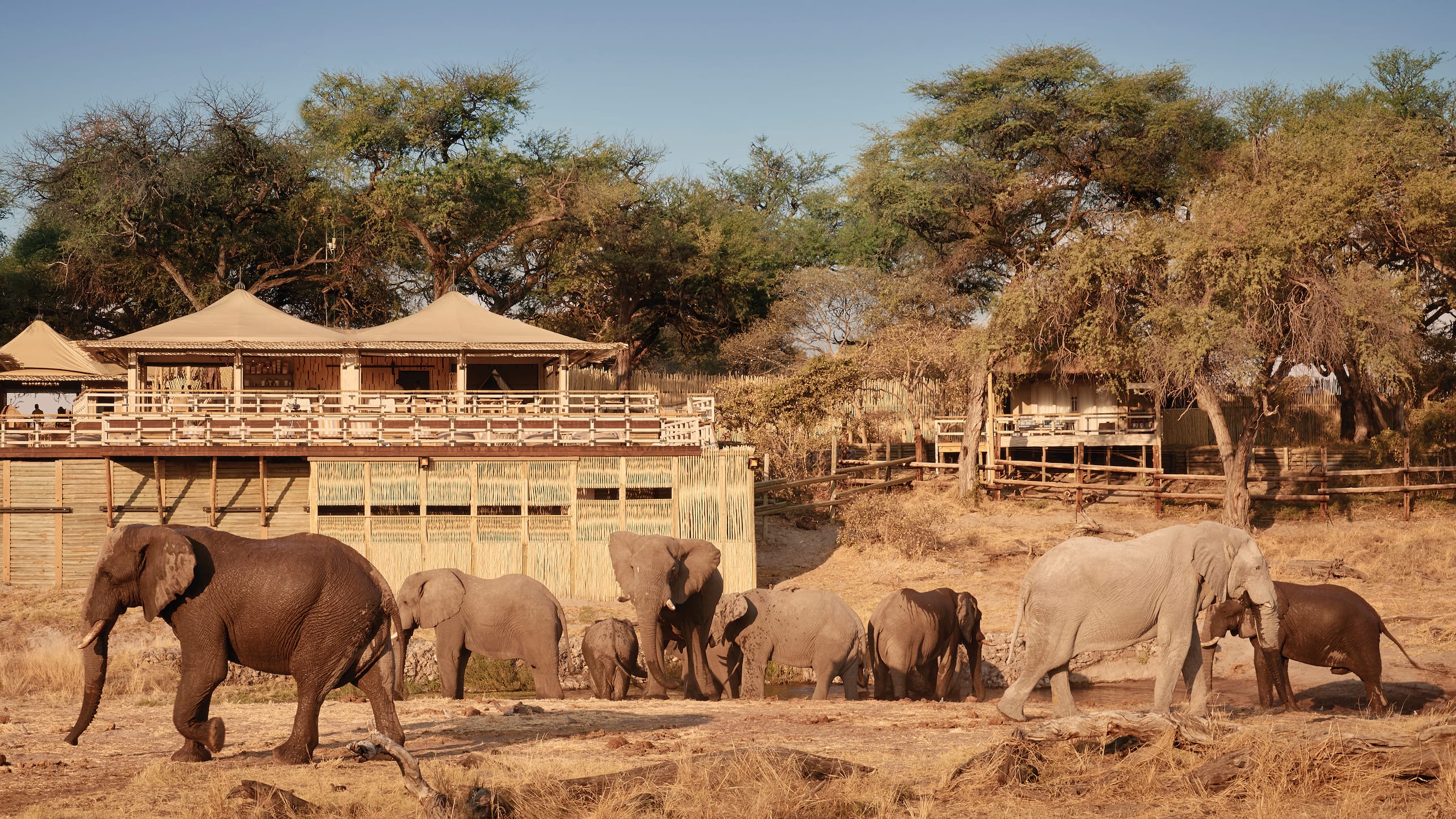 Belmond Savute Elephant Lodge