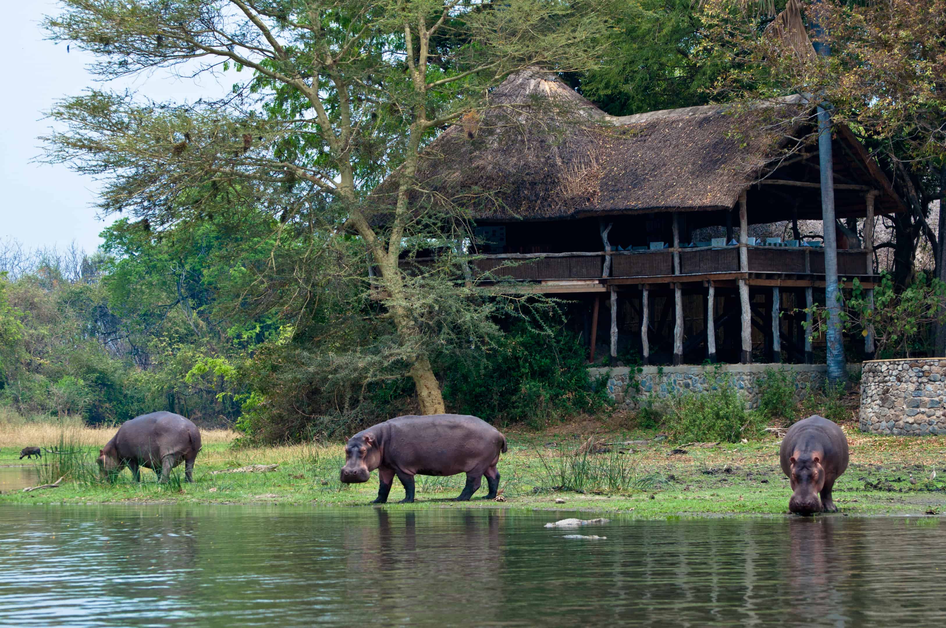 Mvuu Wilderness Lodge