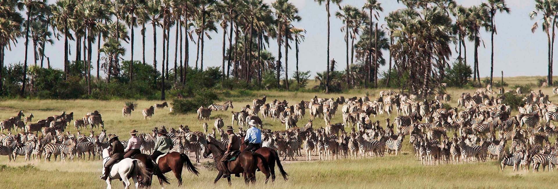 Luxe safari Botswana