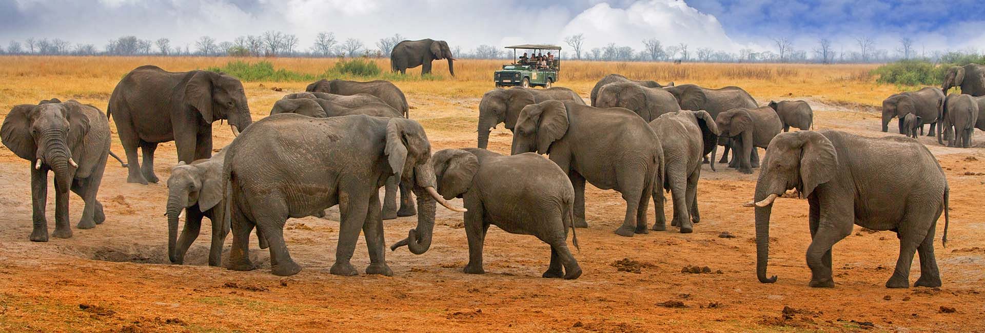 Luxe safari Zimbabwe