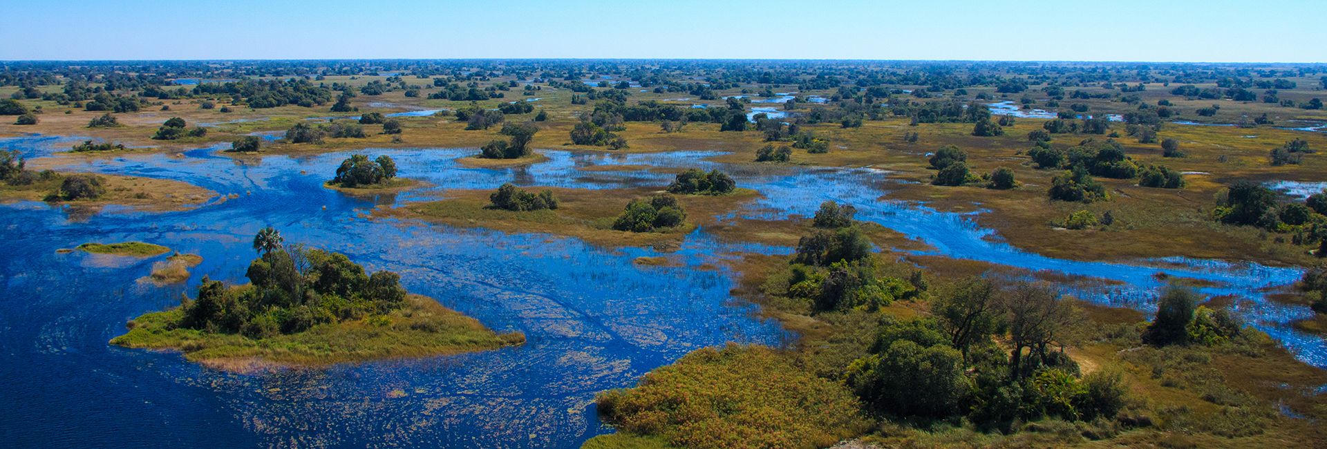 Okavango Delta Botswana