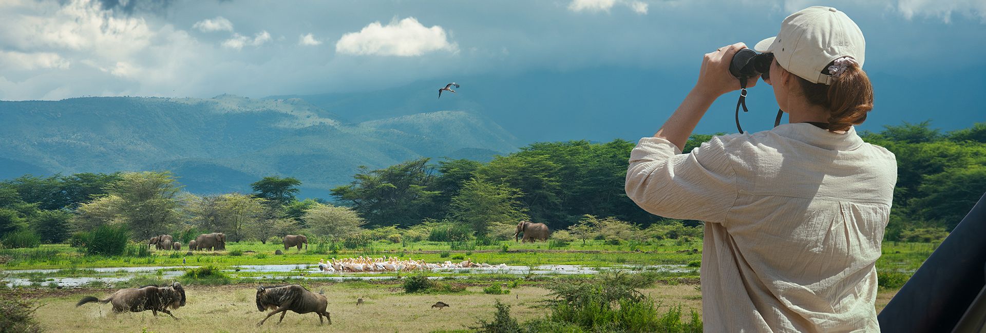 Safari Tanzania