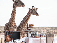 Familie van Segeren - Namibië - Botswana - Zuid-Afrika 