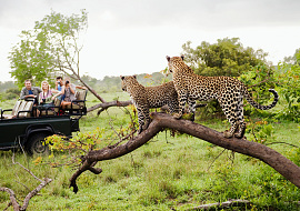 Safari reizen