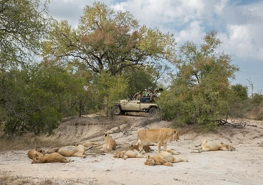 Arathusa Safari Lodge