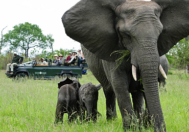 Sabi Sabi Earth Lodge