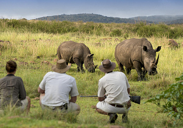 Mhondoro Safari Lodge & villa