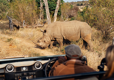 Simbavati River Lodge