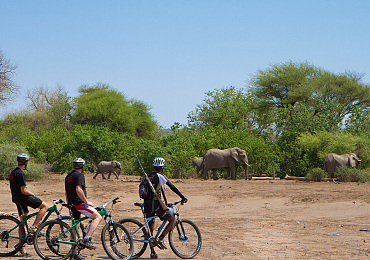 Mashatu Lodge 