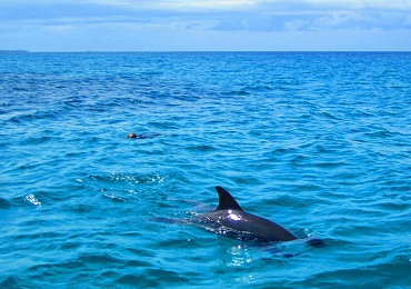 Ibo Island Lodge