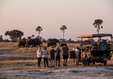  The Hide Safari Camp