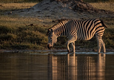  The Hide Safari Camp