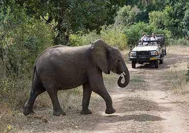 Mkulumadzi Lodge