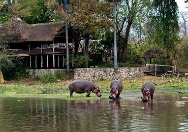 Mvuu Wilderness Lodge