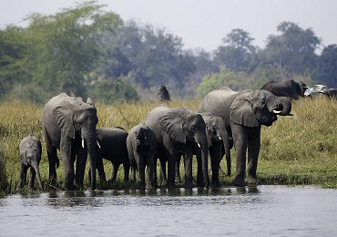 Mvuu Wilderness Lodge