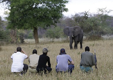 Mvuu Wilderness Lodge