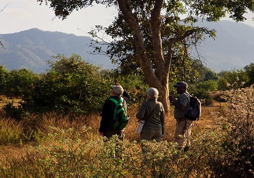 Chongwe River Camp