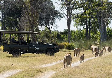 Nxabega Okavango Tented Camp 