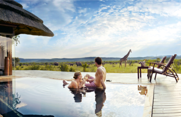 Unieke en luxe safari lodges in Zuid-Afrika: exclusieve safari-ervaringen in stijl