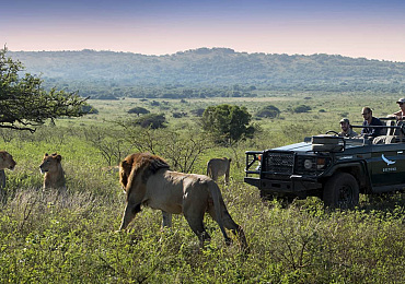 Zuid-Afrika reizen