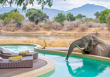 Luxe safari vakantie Zambia met kinderen