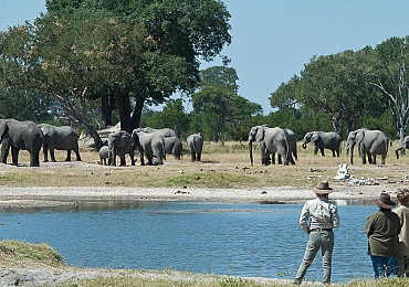Avontuurlijke safari Zimbabwe