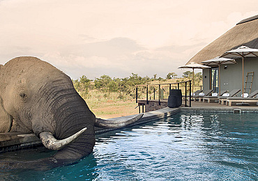 Mhondoro Safari Lodge & villa