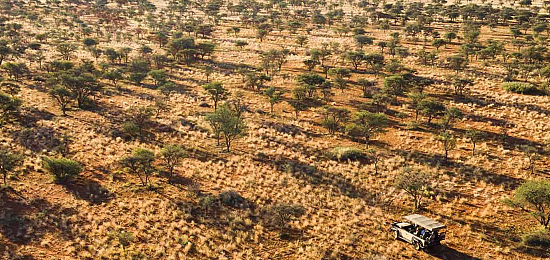 Exclusieve reis Zuid-Afrika inclusief de ongerepte Kalahari