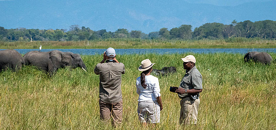 Safari reis Zambia en Malawi