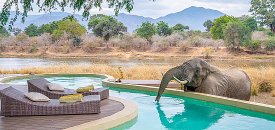 Luxe safari vakantie Zambia met kinderen