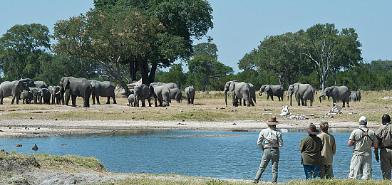 Avontuurlijke safari Zimbabwe