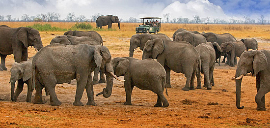 Fly in safari Botswana